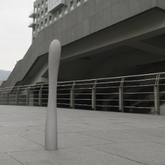 Plat�n | Grupo Samen, 2010